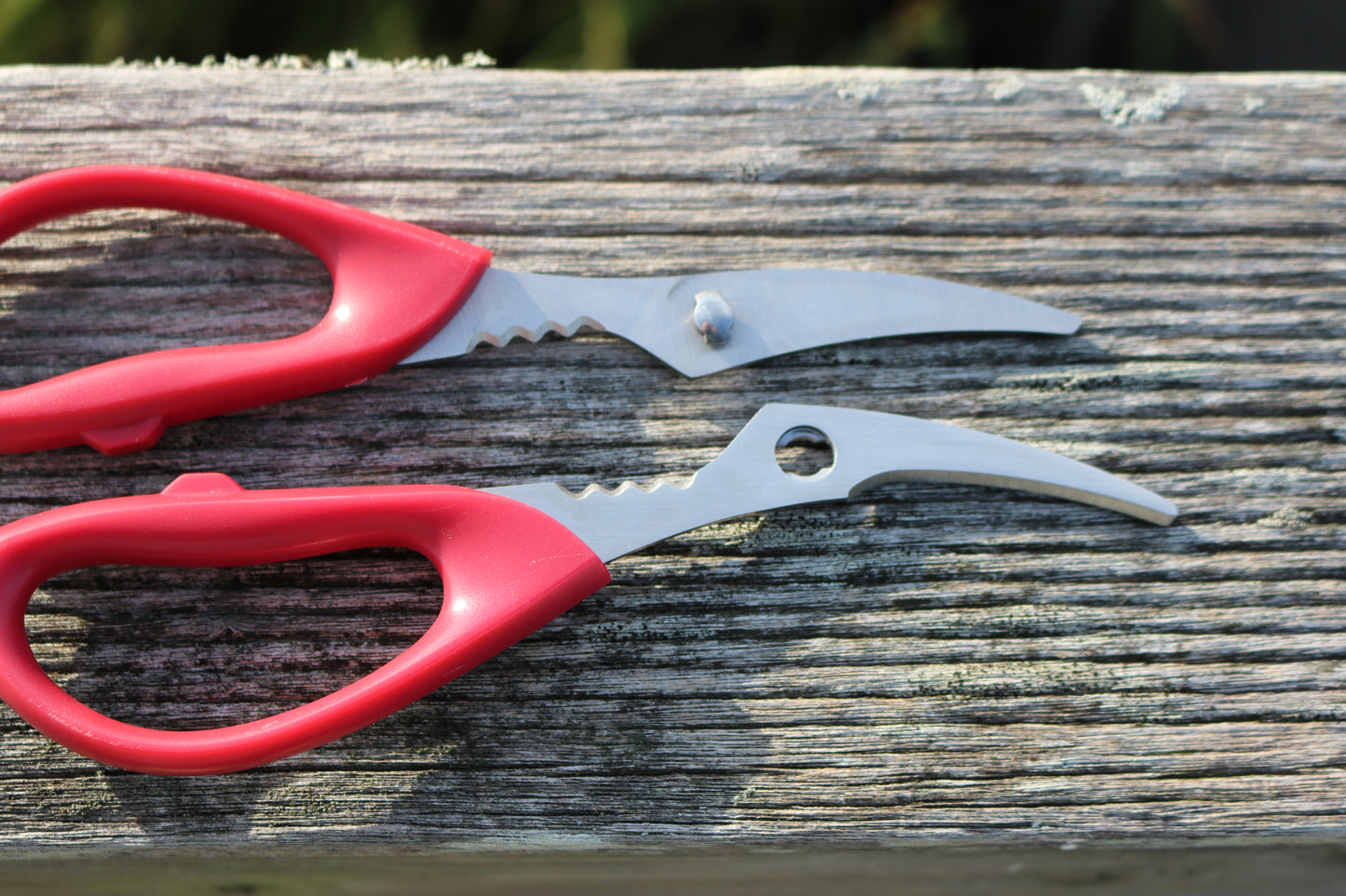 Seafood Scissor Cleaning Tool